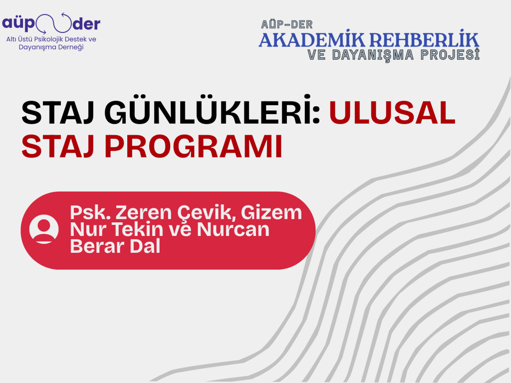 Staj Günlükleri: Ulusal Staj Programı
